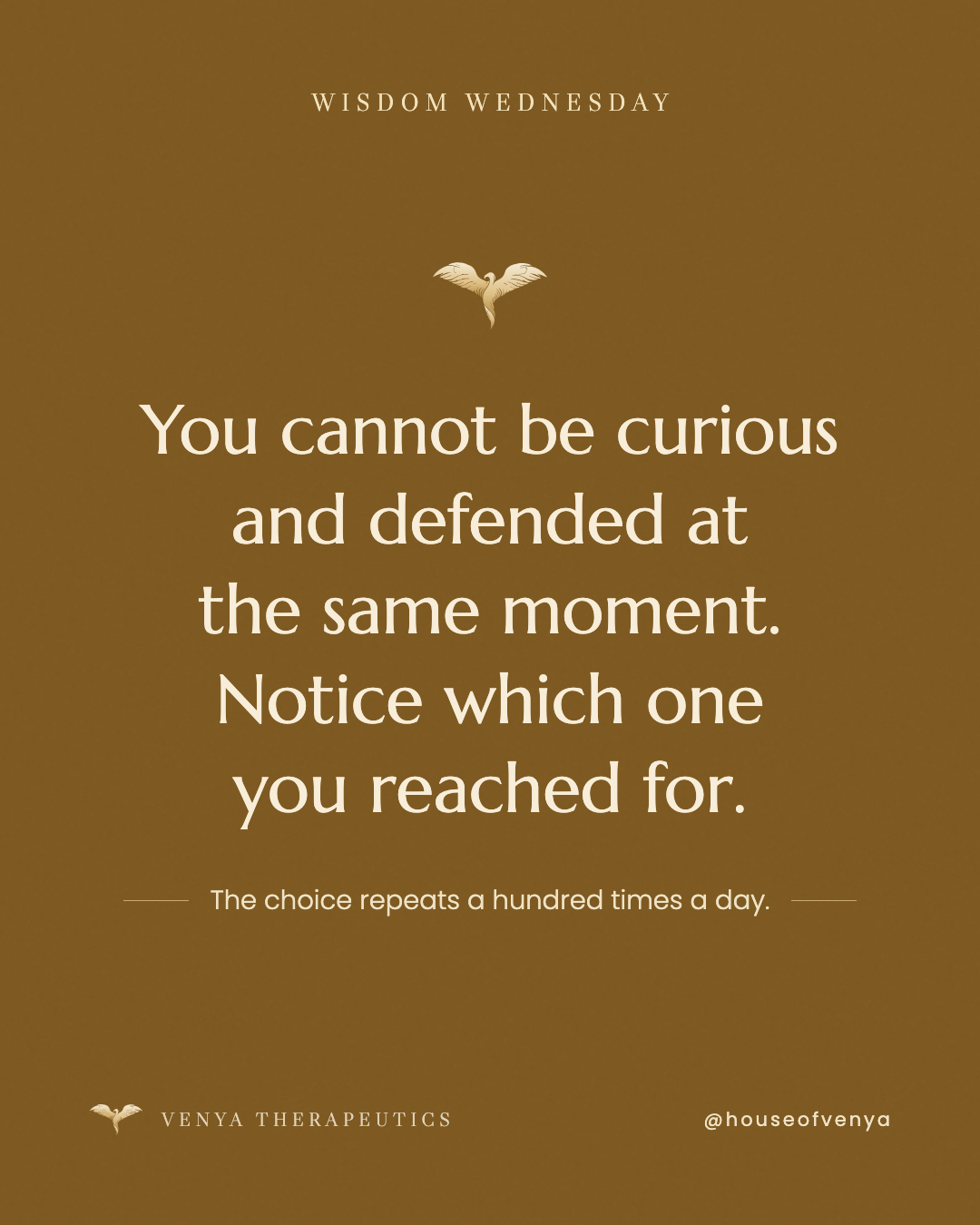 Wisdom Wednesday: You cannot be curious and defended at the same moment.